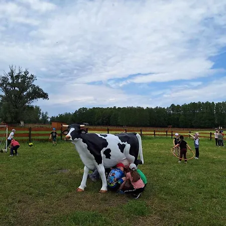 Zagroda Zabłocie Jurty Zablocie (Legionowo)