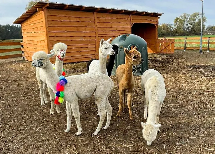 Zagroda Zabłocie Jurty Luksusowy namiot